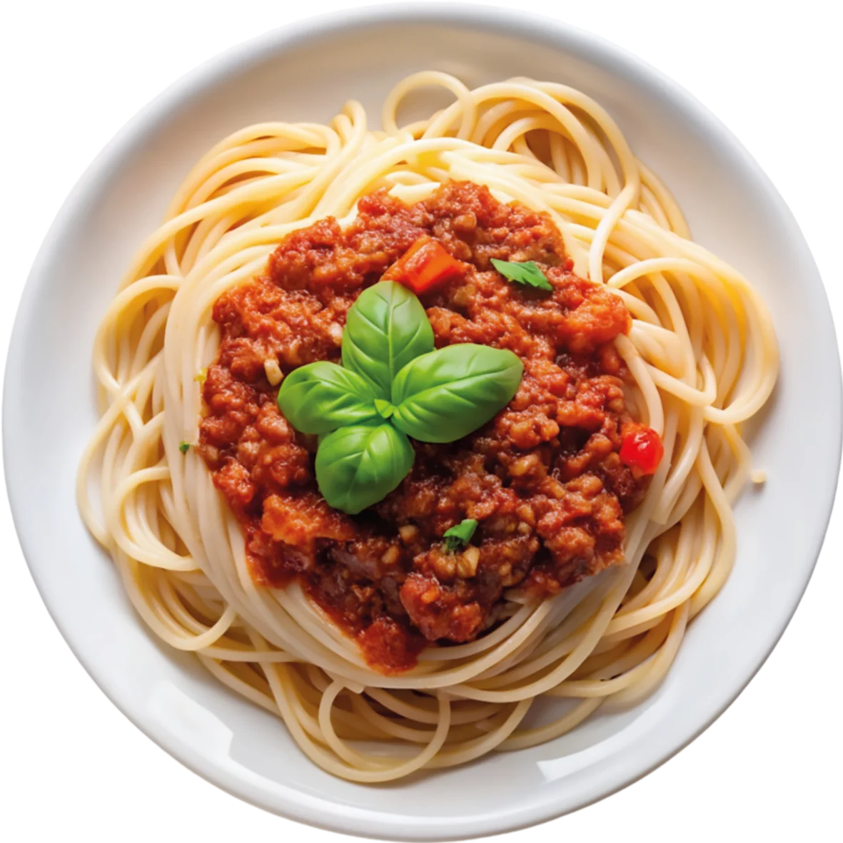 Bolognese