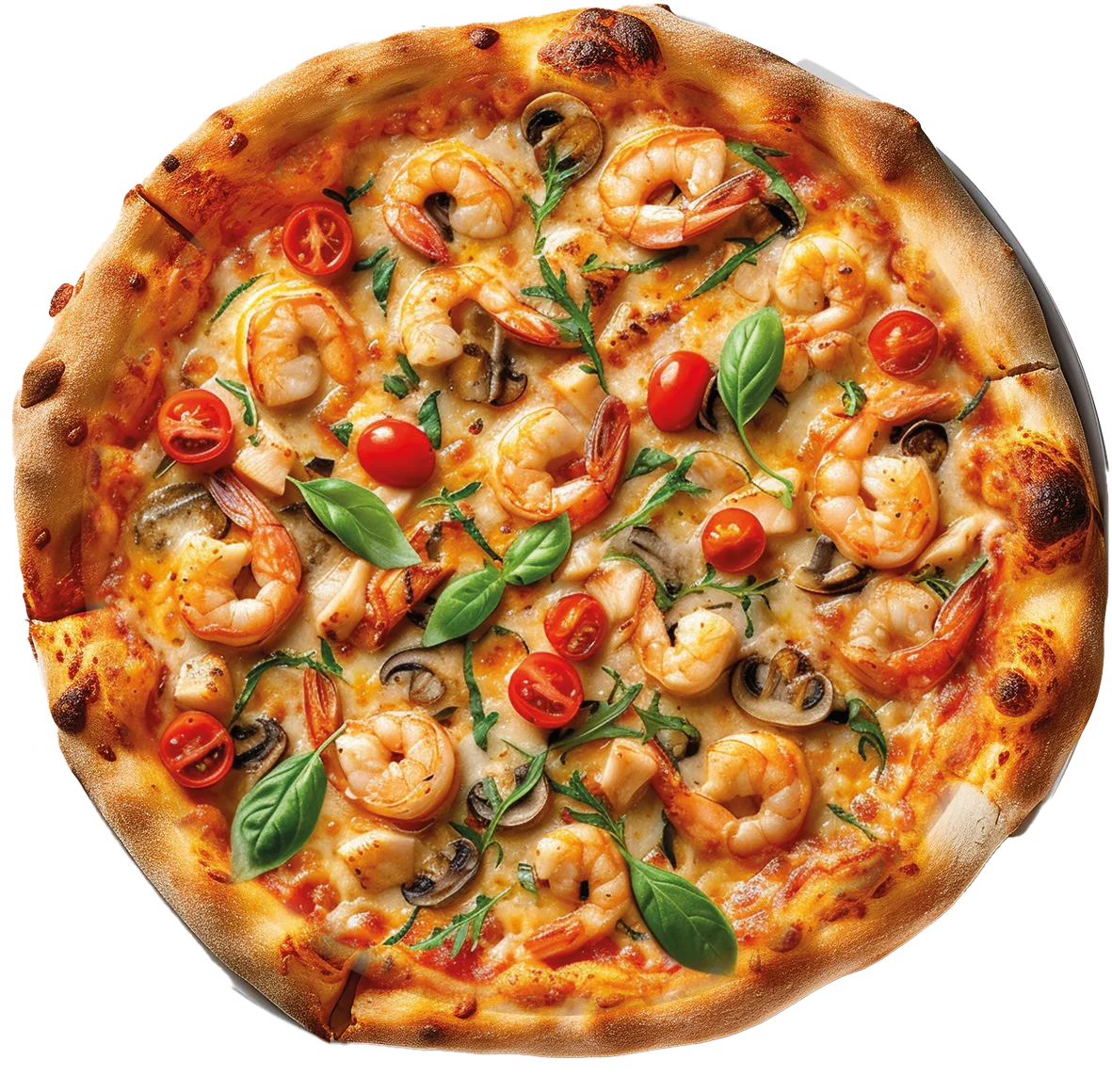 Pizza Scampi